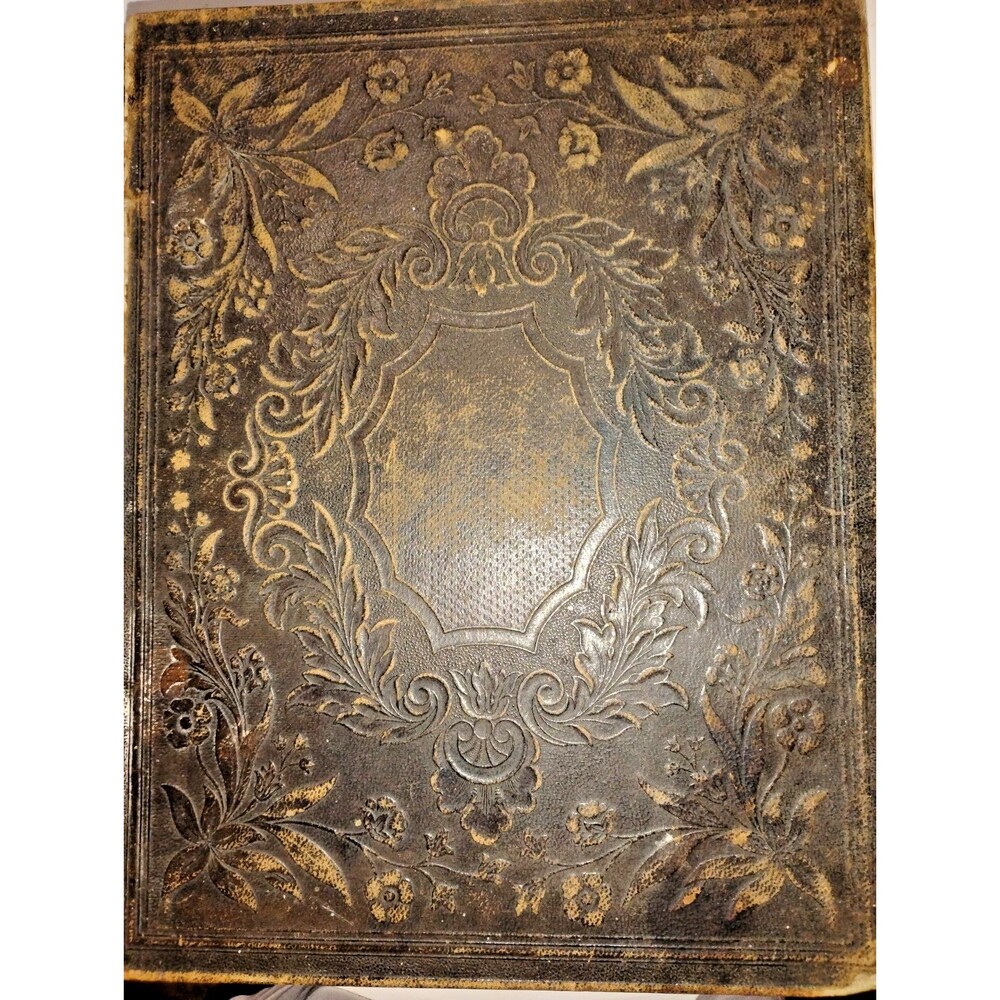 1850 s Antique Bible Alden & Beardsley Apocryphal Tyson D Dubel Family
